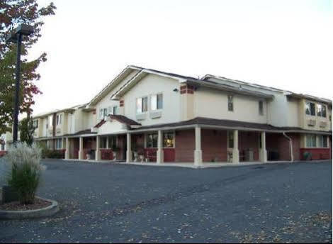 Hotel Super 8 By Wyndham Kingston Exterior foto